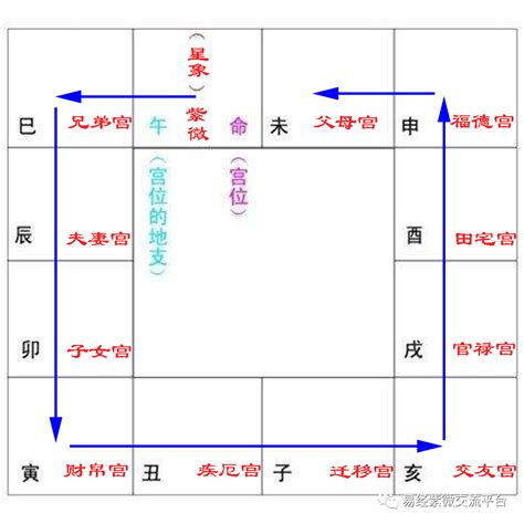 紫薇十二宫|紫微斗数